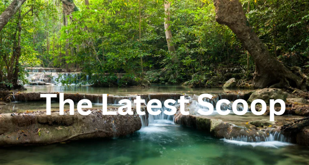 The Latest scoop