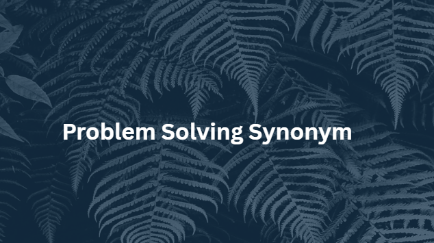 Problem Solving Synonym