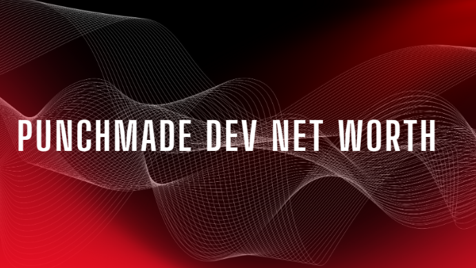 Punchmade dev net worth